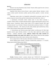 Aprūpinimo energija sistemos 3 puslapis