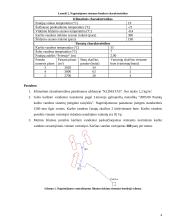 Aprūpinimo energija sistemos 4 puslapis