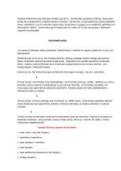 Archimedo gyvenimas ir darbai 2 puslapis