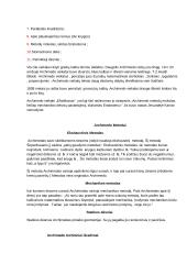 Archimedo gyvenimas ir darbai 3 puslapis