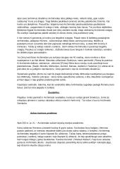 Archimedo gyvenimas ir darbai 4 puslapis