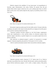 Dekoratyvinės vejos 13 puslapis