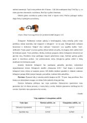Dekoratyvinės vejos 14 puslapis