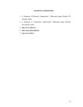Ofiso apšvietimas 11 puslapis