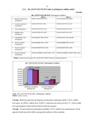 Finansinės veiklos analizė: AB "Lietuvos dujos" 13 puslapis