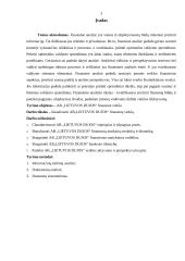 Finansinės veiklos analizė: AB "Lietuvos dujos" 3 puslapis