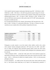 Finansų valdymas: krovinių gabenimas UAB "Anpreka" 4 puslapis