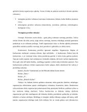 Įmonės analizė: biliardo klubas "Psycho" 10 puslapis