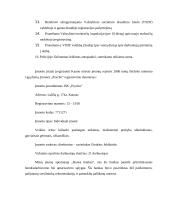 Įmonės analizė: biliardo klubas "Psycho" 4 puslapis