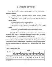 Įmonės veiklos ataskaita: "Amžina vasara" 3 puslapis
