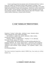 Inovacijos ir investicijos: UAB "Koralas" 2 puslapis