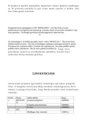Inovacijos ir investicijos: UAB "Koralas" 13 puslapis