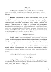 Italijos virtuvės raida bei ypatybės 11 puslapis