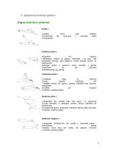Jėgos lavinimas sportinėje aerobikoje 3 puslapis