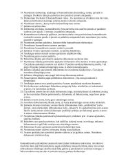 Komandiruotė 7 puslapis