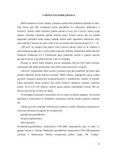 Kraikinis mėšlas 13 puslapis
