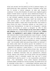 Laisvės sąvokos paradigmos 11 puslapis