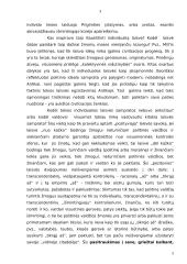 Laisvės sąvokos paradigmos 4 puslapis