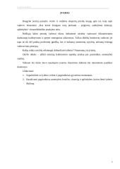 Lyderio analizė: Grybauskaitė 3 puslapis