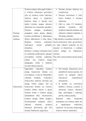 Vengrijos ir Lietuvos švietimo sistemų palyginimas 6 puslapis