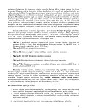 Mastrichto sutartis 2 puslapis