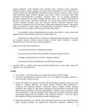 Mastrichto sutartis 6 puslapis