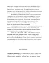 Mėsinių vištų auginimo technologija 15 puslapis