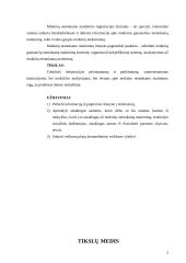 Nemokamo maitinimo registracijos žurnalo projekto rengimas ir įgyvendinimas 2 puslapis