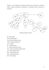 Nemokamo maitinimo registracijos žurnalo projekto rengimas ir įgyvendinimas 11 puslapis