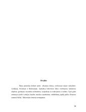 Pažintinės kelionės organizavimas: Lietuva–Lenkija–Ukraina–Baltarusija–Lietuva 14 puslapis