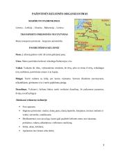 Pažintinės kelionės organizavimas: Lietuva–Lenkija–Ukraina–Baltarusija–Lietuva 3 puslapis