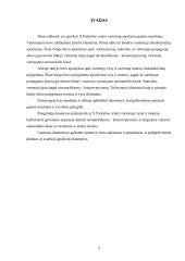 Prekybos centro vartotojų aprašymas 3 puslapis