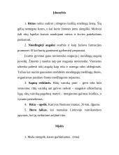 Žalioji rūtelė 8 puslapis