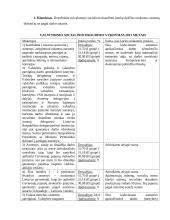 Socialinio draudimo savarankiškas darbas 2 puslapis