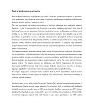 Šveicarijos finansinės institucijos analizė: AG "Credit Suisse" 4 puslapis