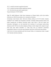 Šveicarijos finansinės institucijos analizė: AG "Credit Suisse" 10 puslapis