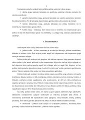 Tarptautinės prekybos prielaidos, nauda bei rizika 6 puslapis
