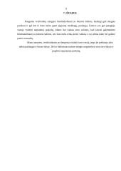 Tarptautinės prekybos prielaidos, nauda bei rizika 9 puslapis