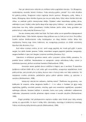 Vaiko stebėjimo praktikos aplankas 7 puslapis