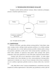 Verslo išorinės aplinkos tiesioginio poveikio srities analizė: UAB "Philip Morris Lietuva" 4 puslapis