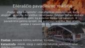 Henriko Radausko eilėraščio ,,Poetai, arba katastrofa" analizė, skaidrės 5 puslapis