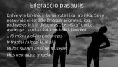 Henriko Radausko eilėraščio ,,Poetai, arba katastrofa" analizė, skaidrės 7 puslapis