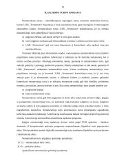 Apskaitos gamybinės praktikos ataskaita: prekyba šildymo įranga UAB "Termoresta" 19 puslapis