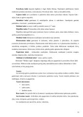 Baigiamosios praktikos ataskaita: restoranas "Midaus ragas" 13 puslapis