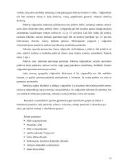 Baigiamosios praktikos ataskaita: restoranas "Midaus ragas" 15 puslapis