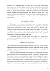 Baigiamosios praktikos ataskaita: restoranas "Midaus ragas" 5 puslapis