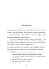 Įvadinės praktikos ataskaita: prekyba technine įranga ir statybinėmis medžiagomis "Senukai" 13 puslapis