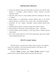 Įvadinės praktikos ataskaita: prekyba technine įranga ir statybinėmis medžiagomis "Senukai" 6 puslapis