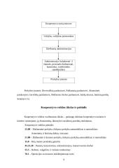 Įvadinės praktikos ataskaita: prekyba technine įranga ir statybinėmis medžiagomis "Senukai" 9 puslapis