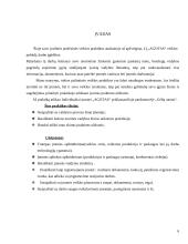 Įvadinės profesinės veiklos praktikos ataskaita: parduotuvė "Gėlių namai" 3 puslapis